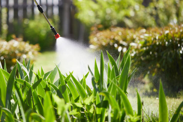24/7 Emergency Fumigation Services experts in Springfield, SD
