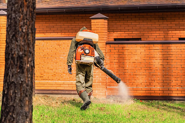 Top rated local Fumigation Services specialists in Springfield, SD